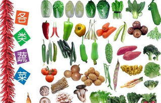 佛山放心食材配送 新鮮蔬菜、肉禽、凍品與副食品批發服務