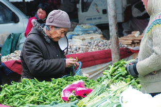 蘭州市居民菜籃子難承菜價(jià)之重 新鮮蔬菜批發(fā)環(huán)節(jié)分析