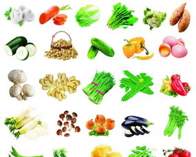 興和蔬菜配送 佛山食堂廚房的優(yōu)質(zhì)供應(yīng)商