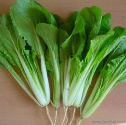 新鮮蔬菜批發(fā)與零售 尋找可靠貨源的全方位指南