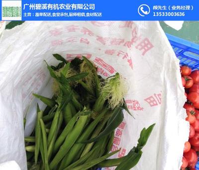 增城蔬菜配送選哪家？碧溪餐飲以新鮮與專業領跑行業